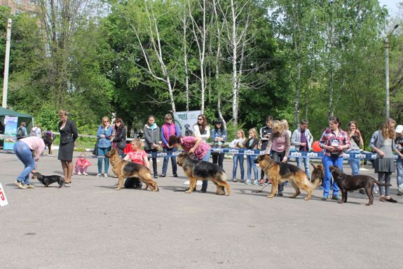 11084217 640083482802157 7868217151520734180 o