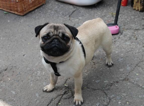 11088616 640097349467437 895313603399981524 o