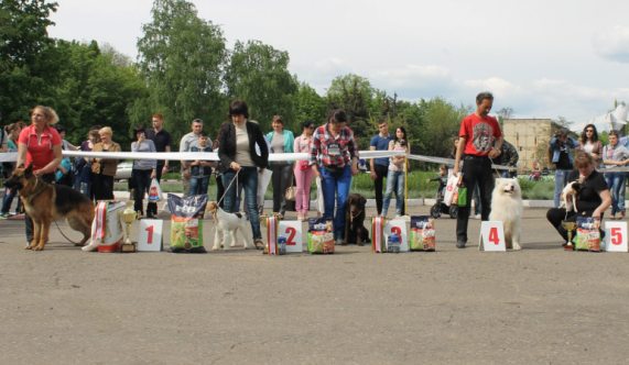 11194547 640082579468914 429930961259739326 o