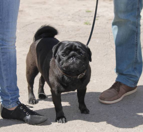 11218555 640098629467309 9086231481203557679 o