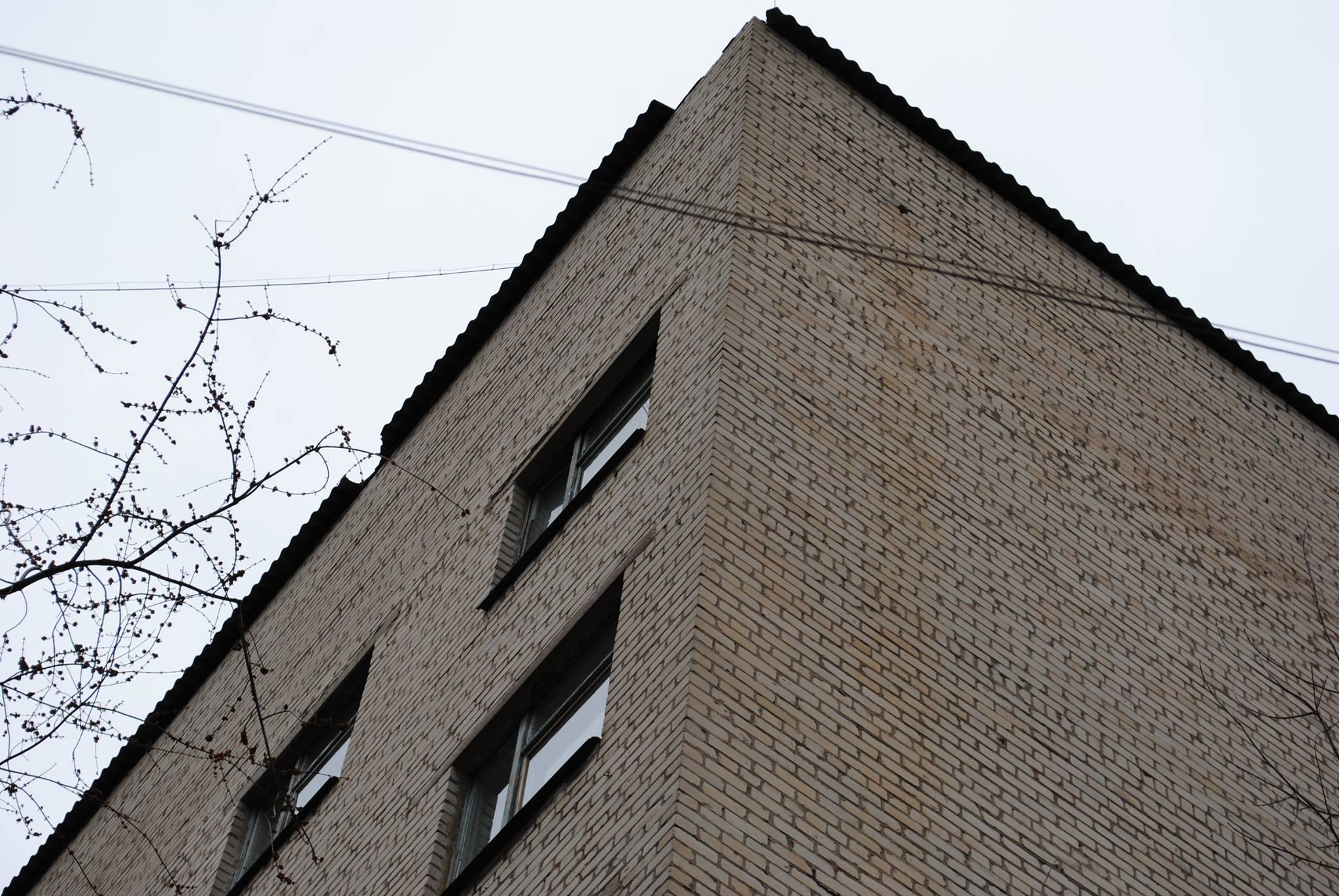 12440229 1150575038340927 8161201665751977404 o