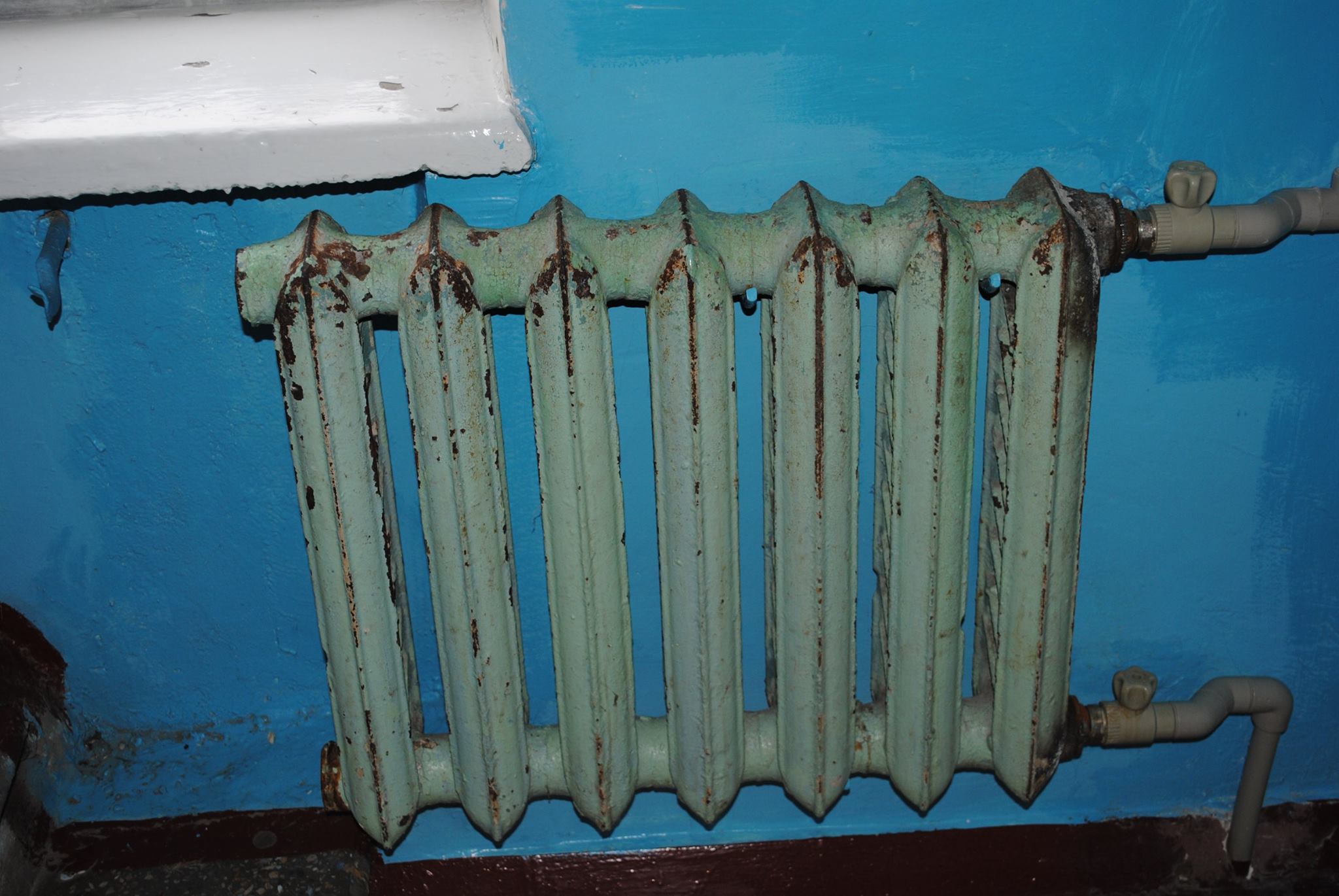 12888785 1150574545007643 5800976916633968742 o