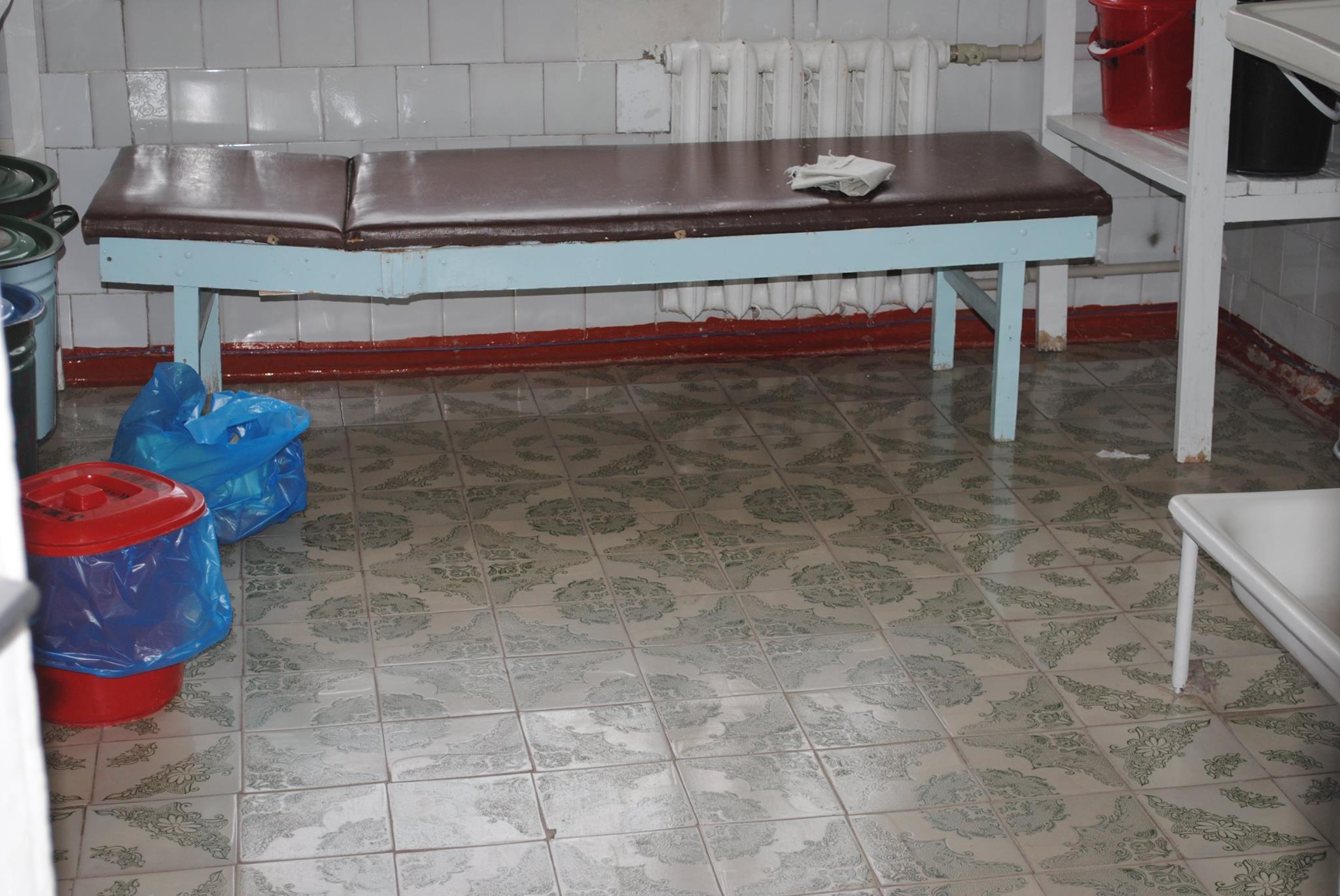 12916297 1150576355007462 990543142669135950 o