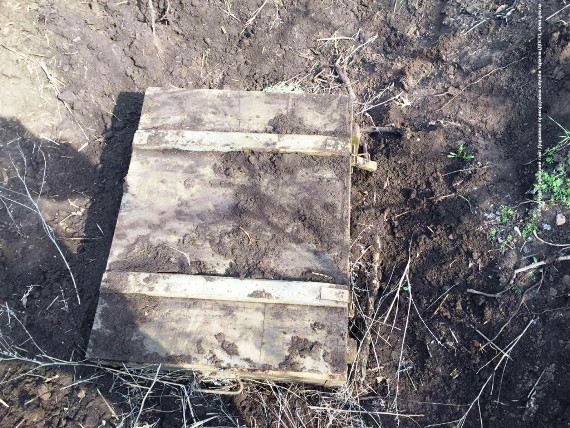 d3f0dc216b31017408a5eaf9efd6fd1d2ffe133b