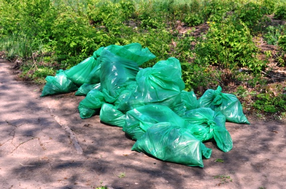 1d2a238d-2564-4c07-8ff0-c3b29bb47191