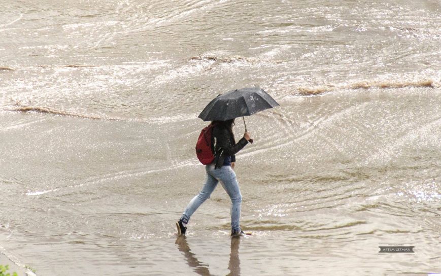 38891e7ff35a02c2dc1049c0fb2ababadogd5