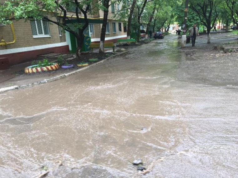 43c3a12bd3cfe3c7e00e3f68deaacd64dogd1