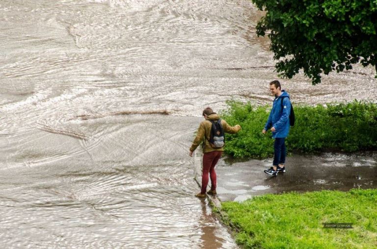 cdad34aaa4906302d862dbd229de713edogd 5