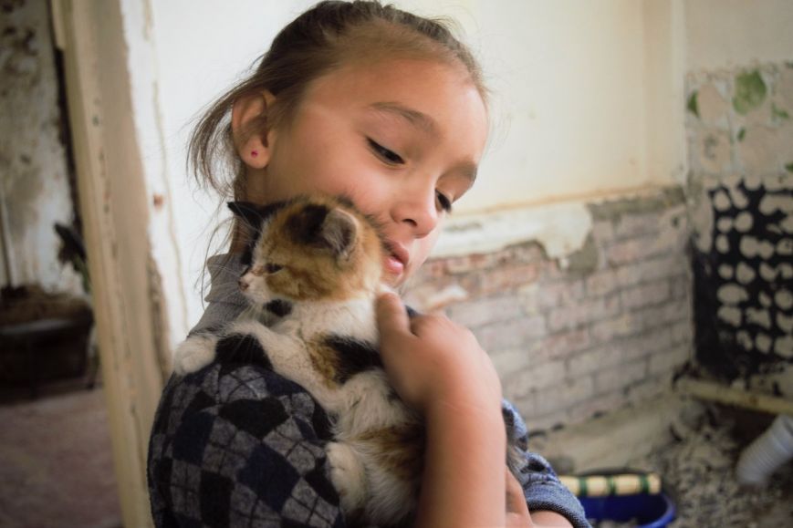 77adeba587ba0b7e02115e5098e675db