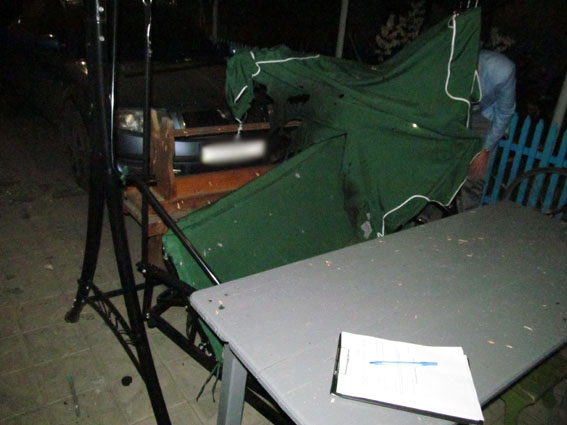 PM335image004