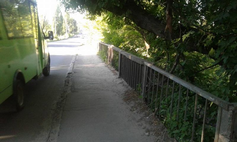 13620249 1048332851911342 3229485537394277446 n