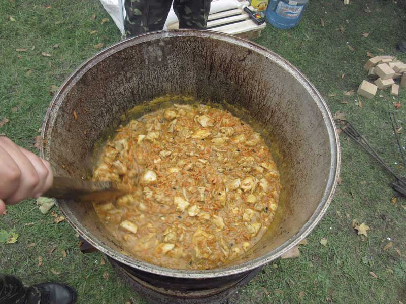 14672700 320089378355429 23