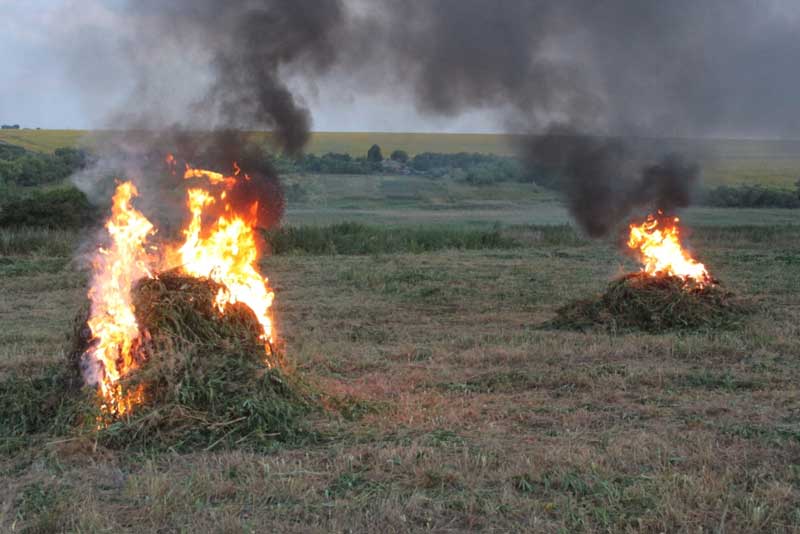 news 20170725 110934 150097