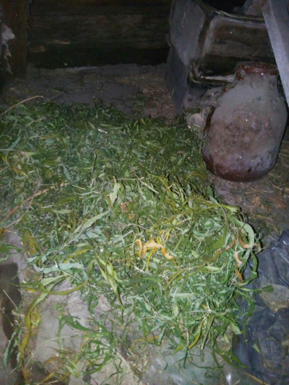 photo 2017-10-23 10-44-57