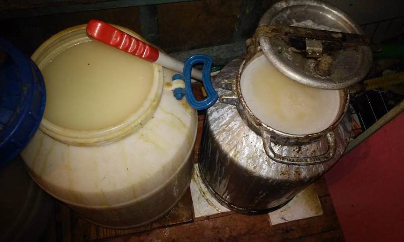 11148622 930169440394351 8782726661210551366 n