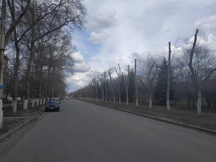 55464989 1226744777485228 2408320327600832512 n