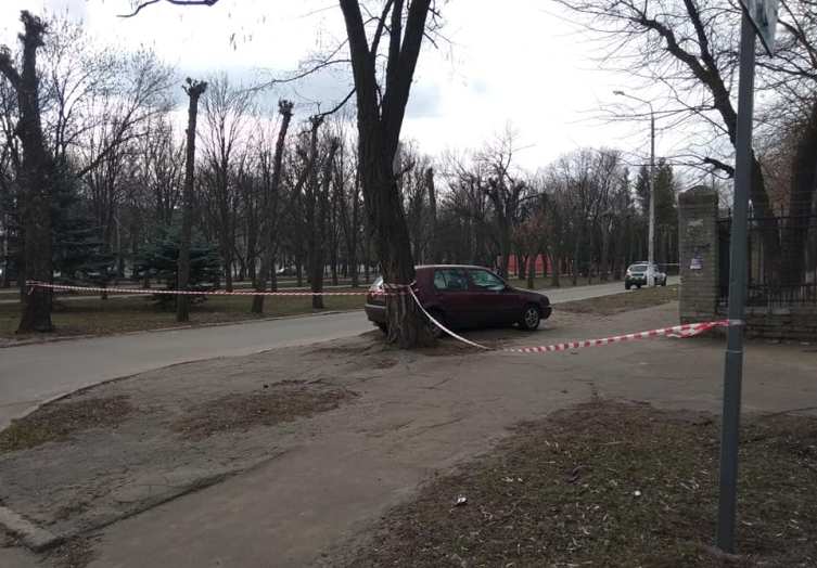 55541895 839979023045284 6254478659453714432 n