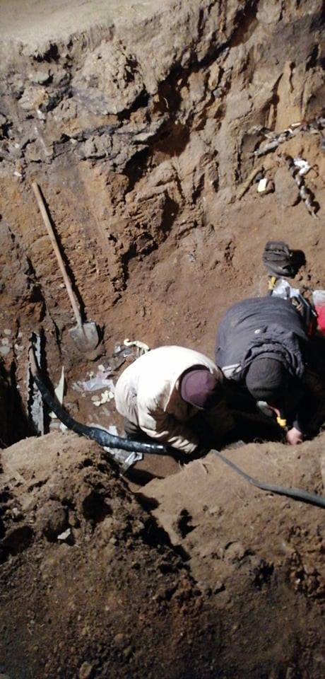 55892524 2121922151261582 6849975445547384832 n