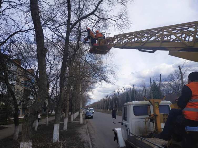 56189995 1226744644151908 7214746150413271040 n