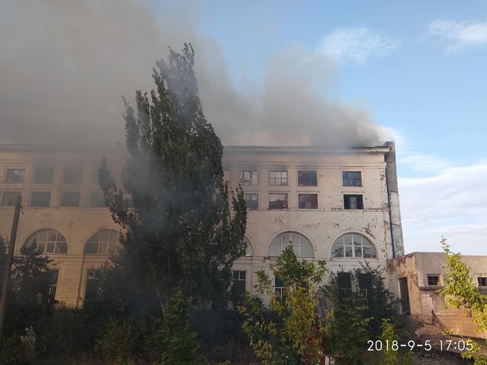 41149369 720304715012716 8791552374192734208 n