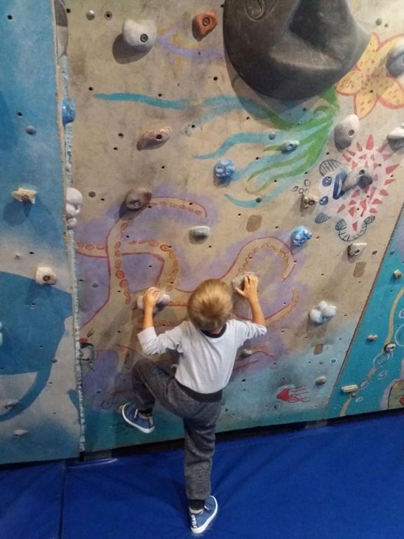 42195212 285777068912384 3702364604899262464 n