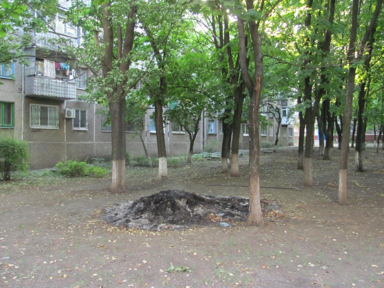 20883391 280444659098302 1366546061 o