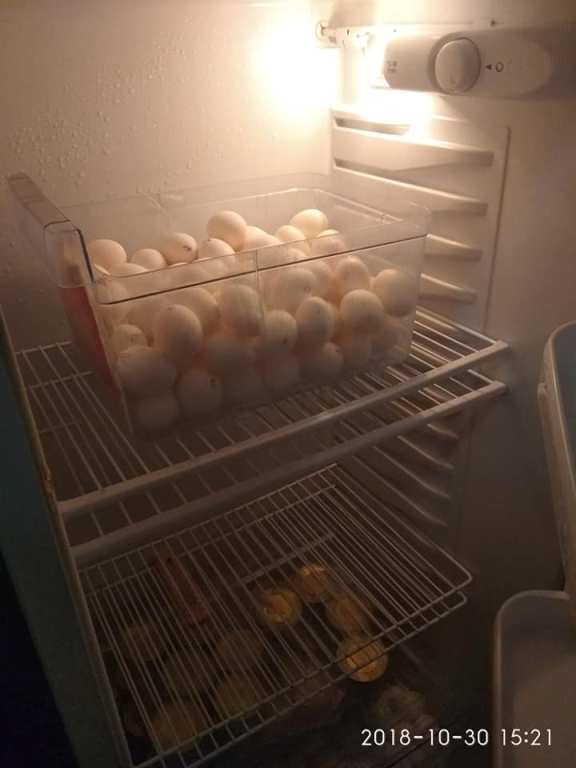 45170235 751670735209447 3954997677921402880 n