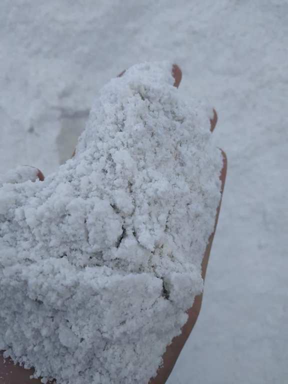 45513375 1132932610199779 4588085503848349696 n