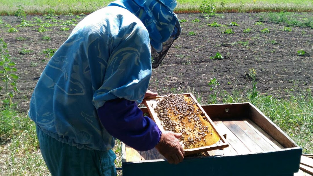 IMG 6b018fdb92c683150b9c8240985cddd6 V