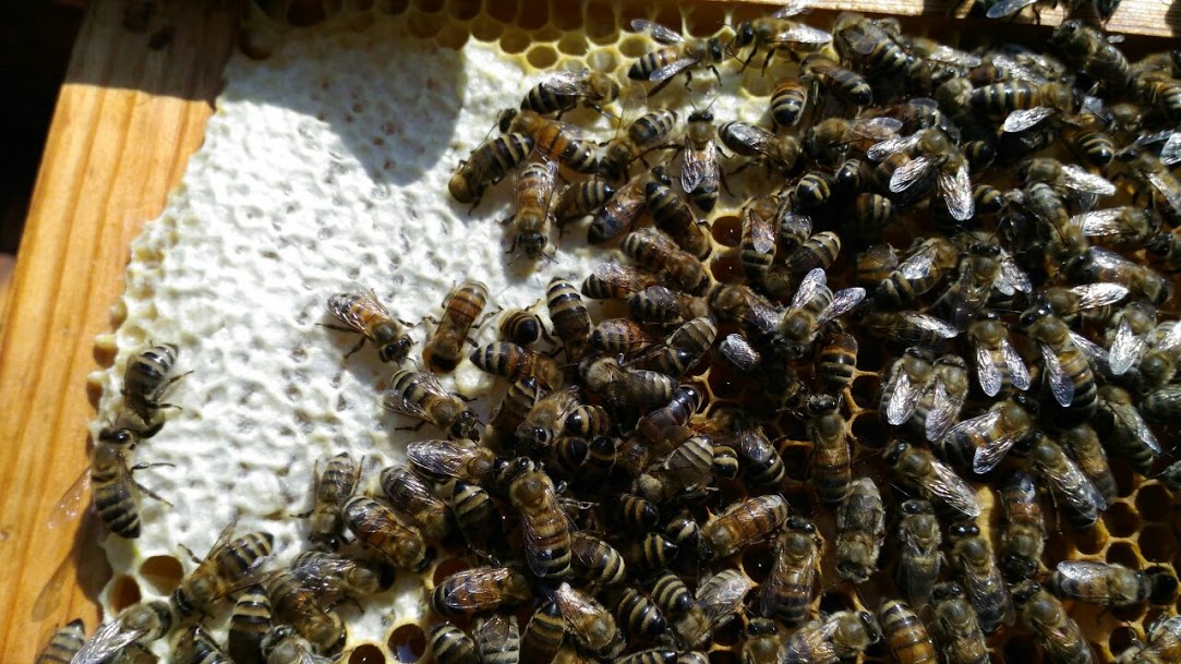 IMG 981d0be40e237ec7af0f018008450a77 V