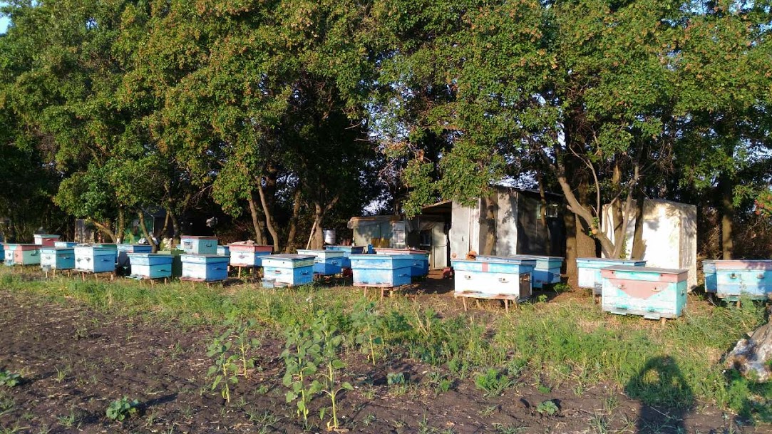 IMG b4c310a85f0526a75cb5b2ec75ed4371 V