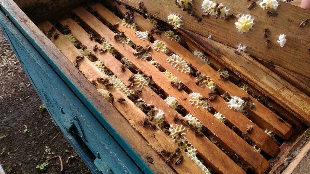 IMG c9bfbb9cda18b0382c07603d0deb61b1 V