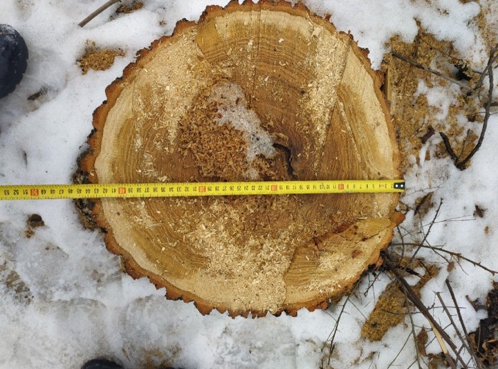 0 02 05 632728d416d1bd746117a101fc7aca75bba7e0e6a6e03397d89daf5c4943e09b 79797f51