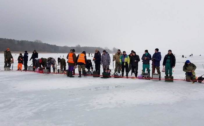 51163619 2169135799811769 866461707248074752 o