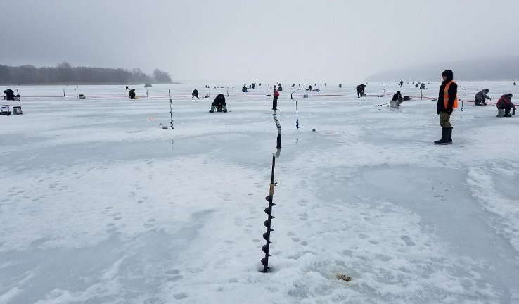 51574583 2169135739811775 2709446544922247168 o