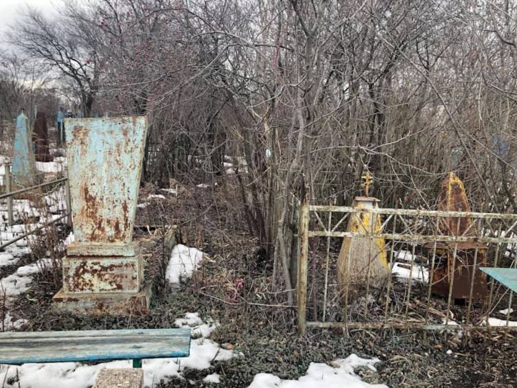 53399056 2269859863095160 5660089609850191872 n