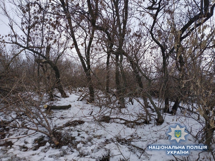 photo 2019 02 15 12 18 37