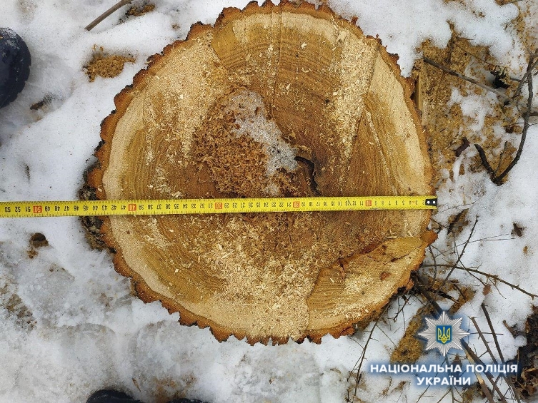 photo 2019 02 15 12 18 43