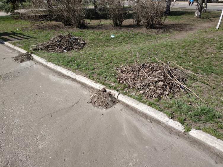 56419473 1234066653419707 3978006032474439680 n