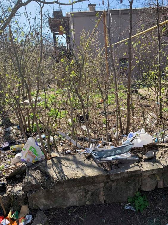 57155479 738902399845657 3346521208601444352 n