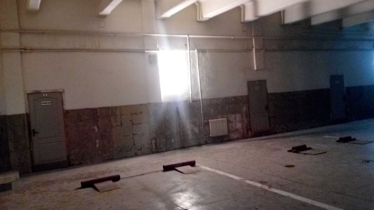 57155498 741409209594976 6758686637225410560 n