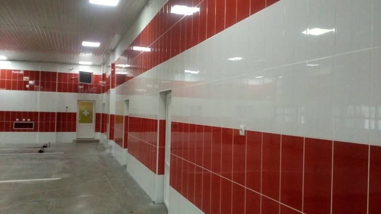 57194540 741409359594961 5142684498952978432 n