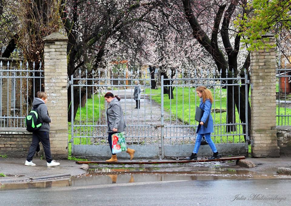 57216598 2426836510873180 2182124891409481728 n