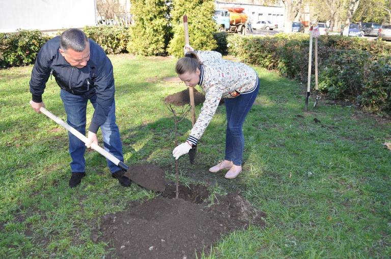 57308544 744415675960996 5677749093737168896 o