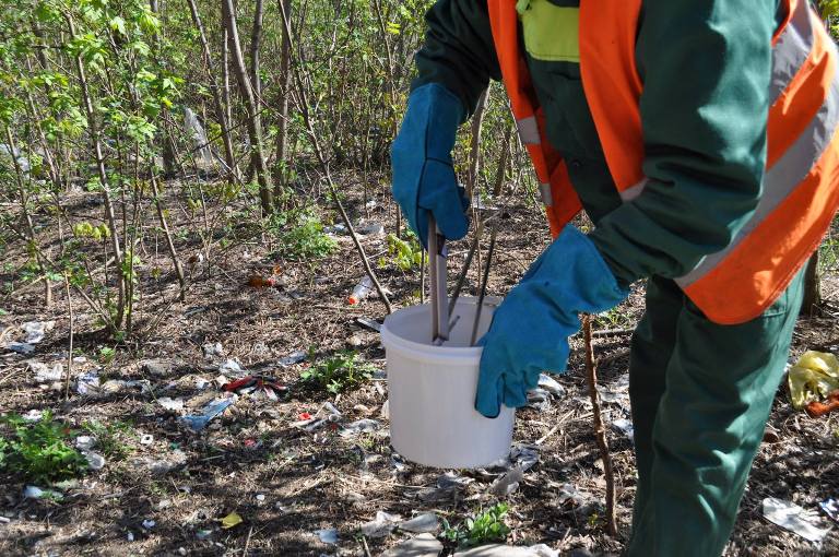 57325270 743255536077010 6693813827688988672 o