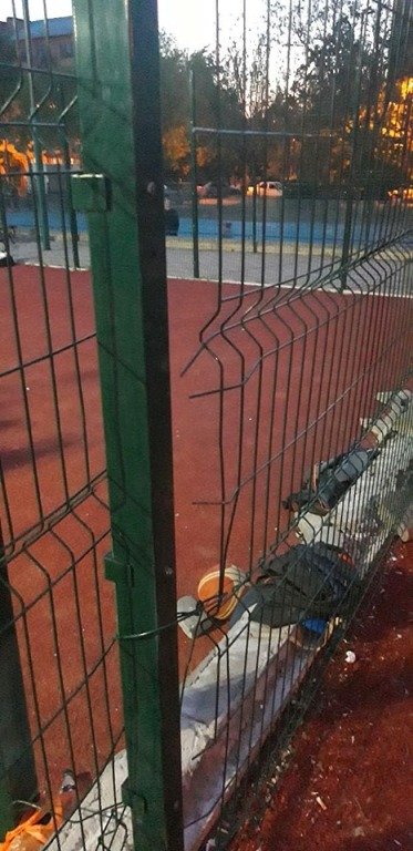 60182179 2341423942759457 8057119035365523456 n