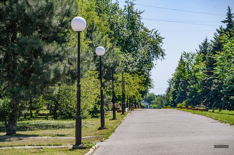 61330987 1211559539022393 1588687890026594304 n