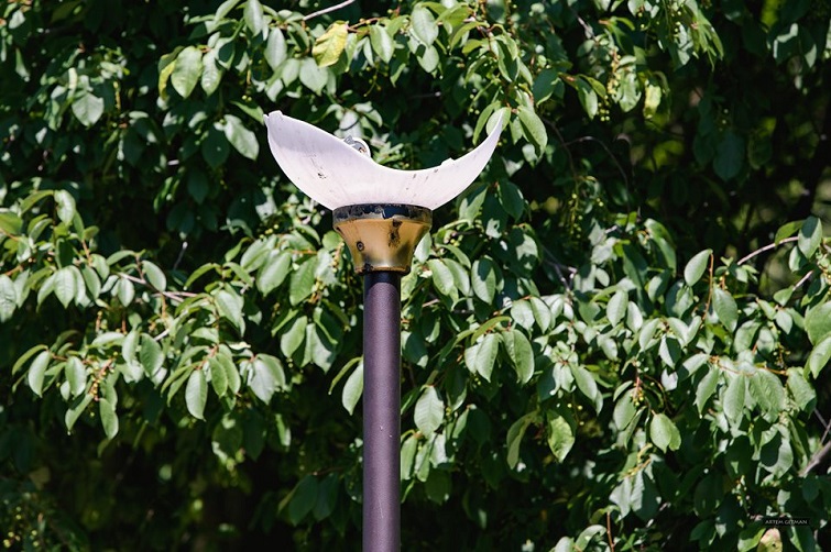 61476830 1211559249022422 6822062843932704768 n