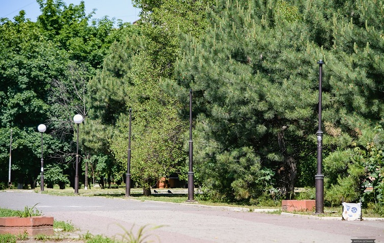 61535911 1211559455689068 5946258839786487808 n