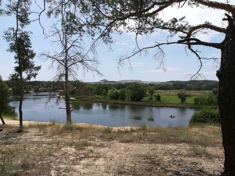 65470389 791277814608115 7831062116164435968 o